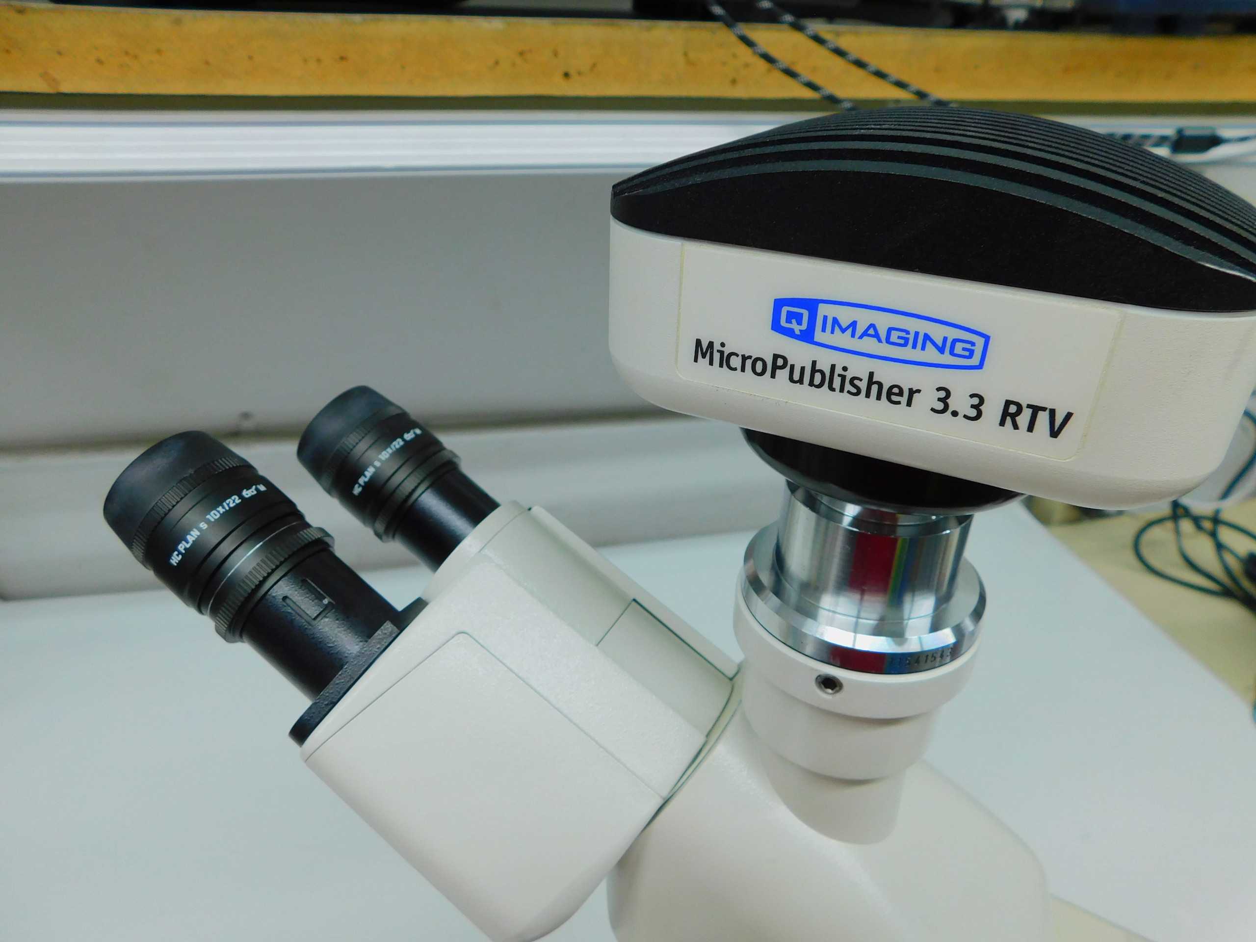 Leica DM1000 System Microscope With 5-Position Nosepiece And Hi Plan Objectives - LAB & SCIENTIFIC