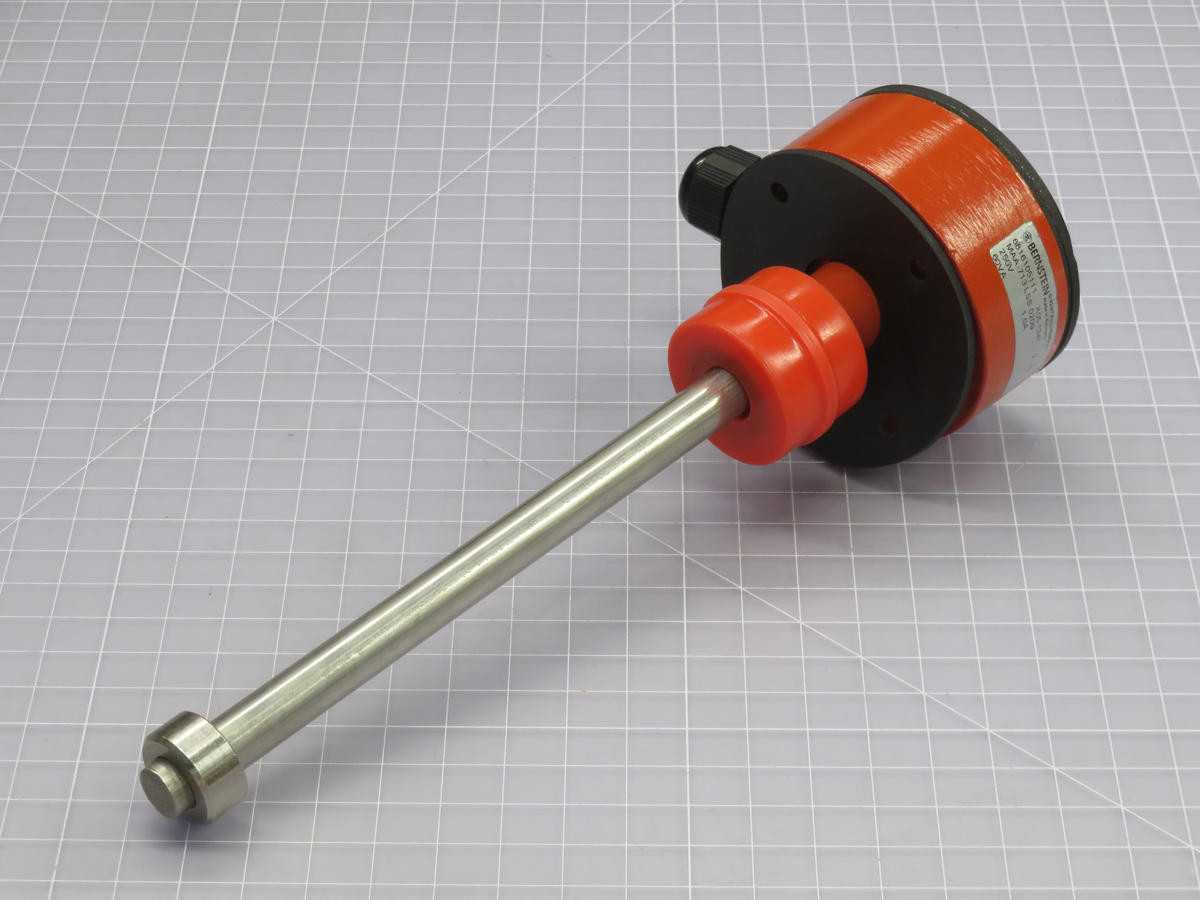BERNSTEIN MAA-713 LSS 0209 SCHWIMMERSCHALTER T238374 - SWITCHES