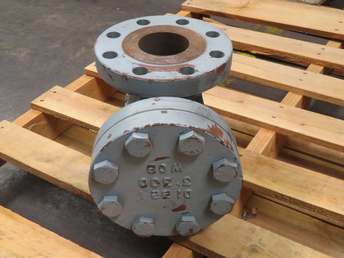 Sure Flow BF 300C Flanged Basket Strainer T246775 - INDUSTRIAL PARTS
