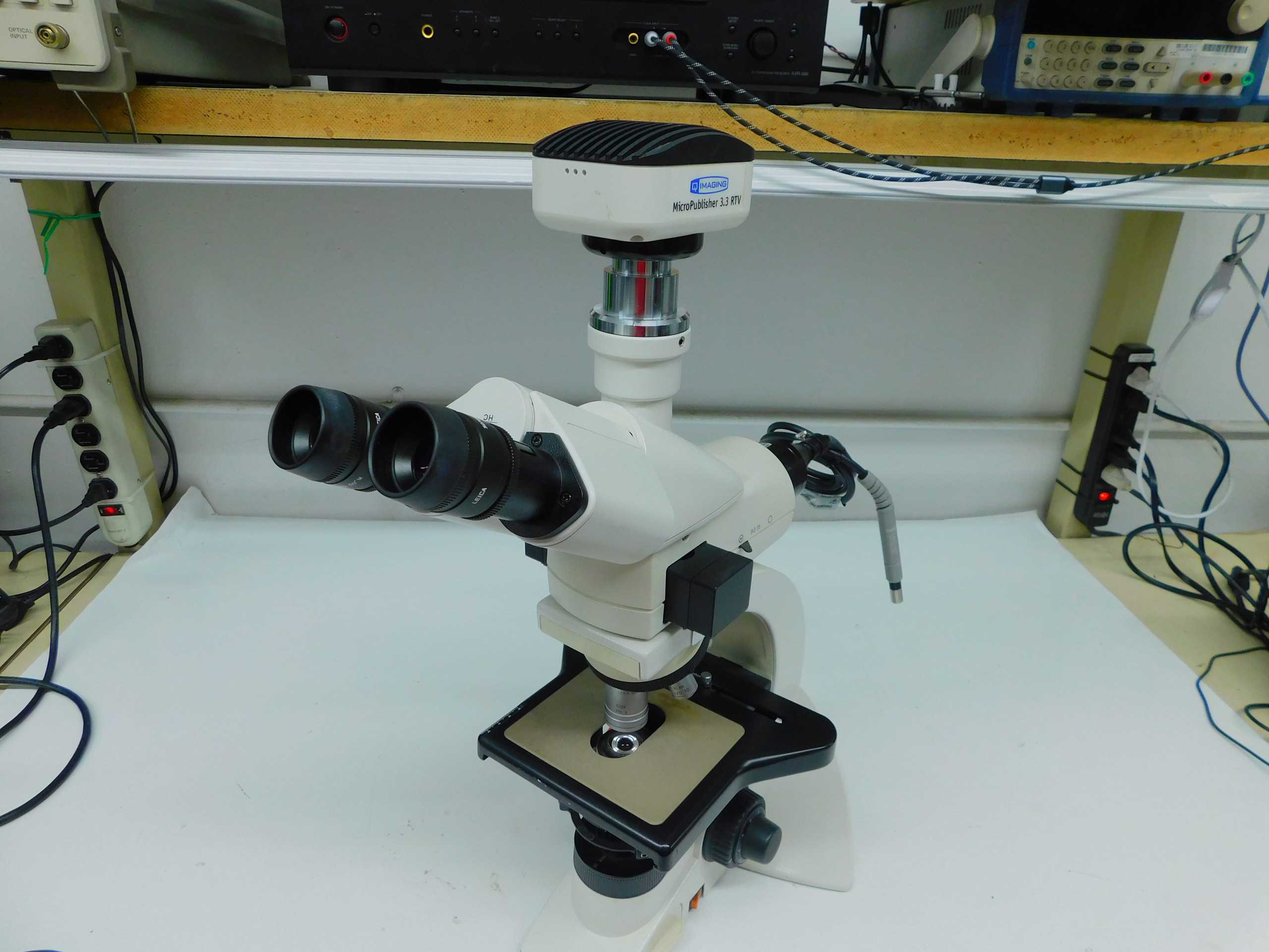 Leica DM1000 System Microscope With 5-Position Nosepiece And Hi Plan Objectives - LAB & SCIENTIFIC