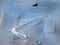 Equipment Zone SpeedTreater-TX DTG Pretreatment Machine - PRINTING